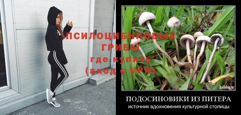 Галлюциногенные грибы Magic Shrooms  где найти   Алушта 